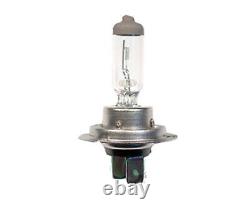 Phares HSW Suitable for Audi A3 8L 09/00- 05/03 Right Turn Signal Bulb