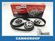 Kit Distribuzione Timing Belt Set 141 Denti Vw Bora Golf Audi A3 Seat Ibiza